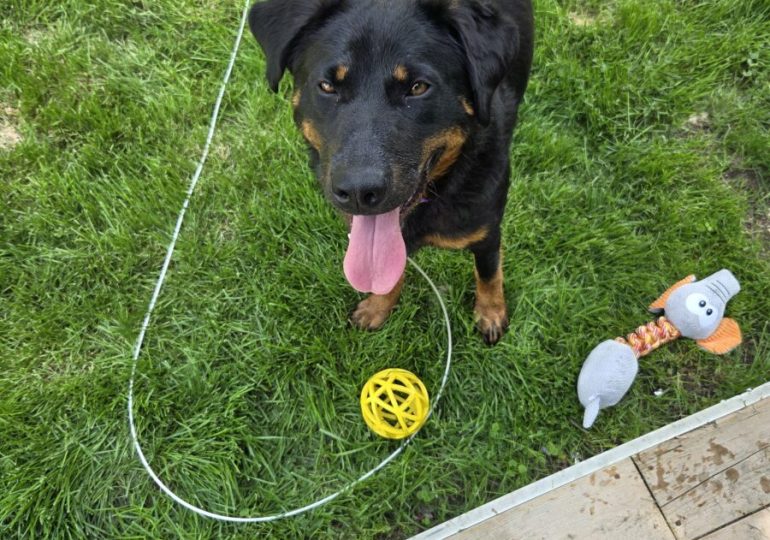 Teamwork and compassion gives Miss Clyde a second chance