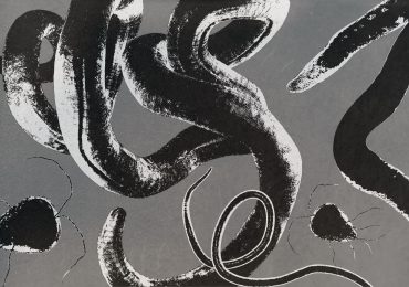 You Might Be Hosting a Parasite Right Now. Here’s How to Tell