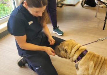 The Ontario SPCA hosts a free rabies vaccination clinic to mark World Rabies Day