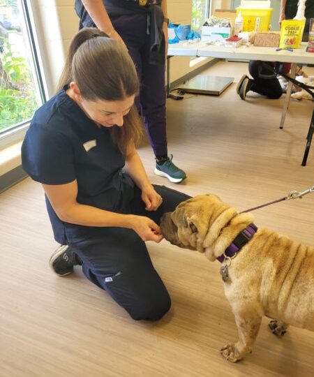 The Ontario SPCA hosts a free rabies vaccination clinic to mark World Rabies Day