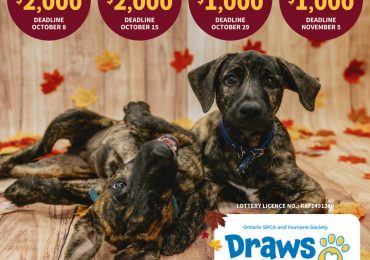 Win big for animals in need