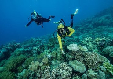 How Deforestation Harms the Great Barrier Reef