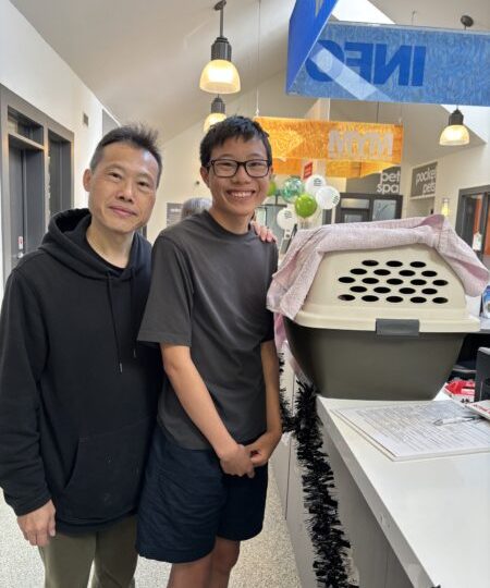 iAdopt: Furever Homes brings new beginnings for adopted animals