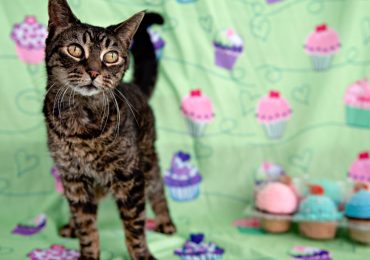 A second chance at love: Penny and Mia’s story