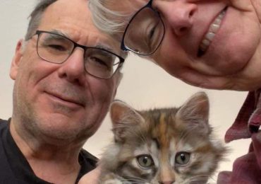 Foster volunteers needed to give vulnerable animals a second chance