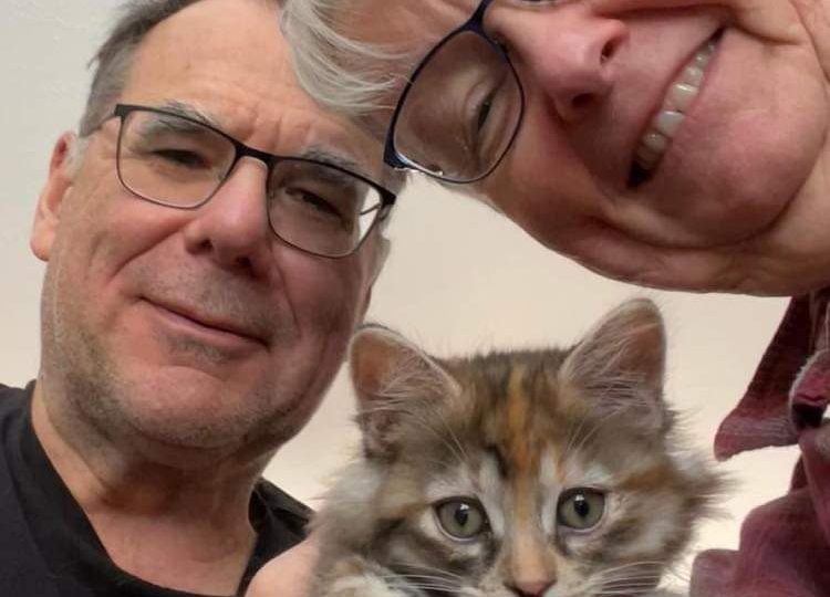 Foster volunteers needed to give vulnerable animals a second chance