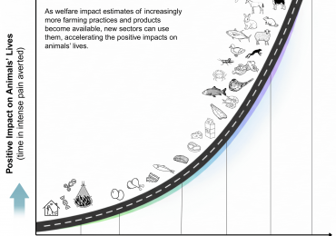 Monthly Spotlight: Welfare Footprint Institute