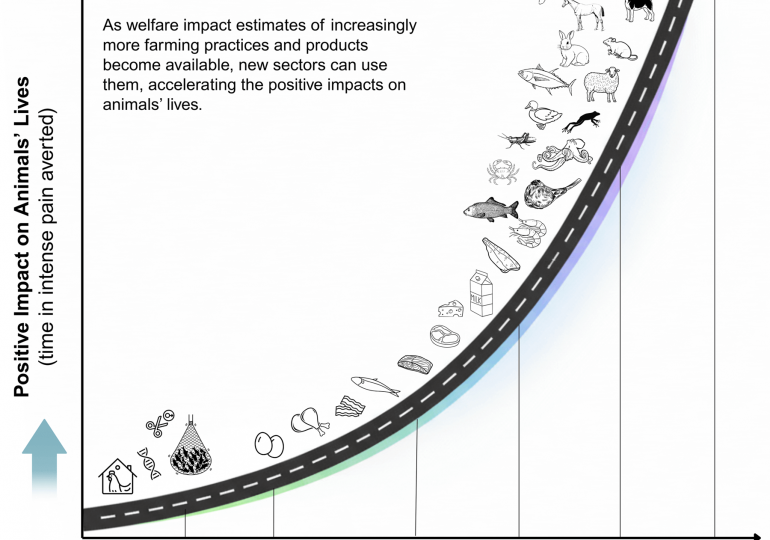 Monthly Spotlight: Welfare Footprint Institute