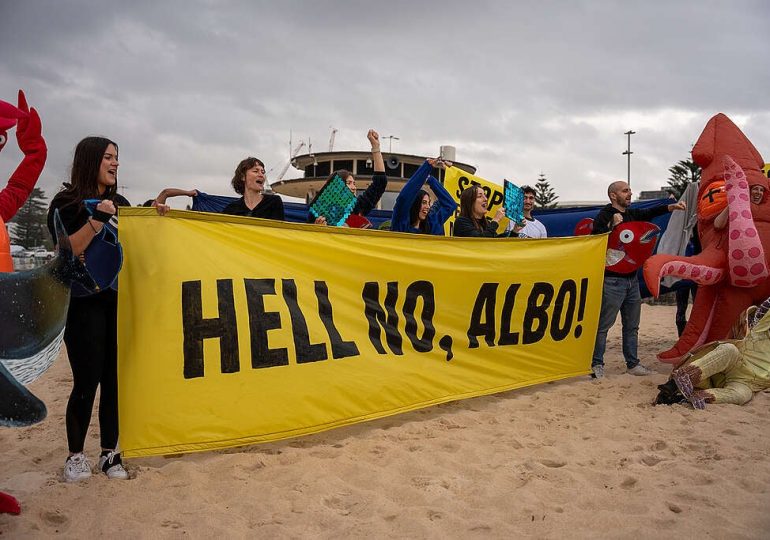 Albanese Government’s climate credibility is hanging by a thread