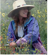 Meet the Editor: Alison K Brody