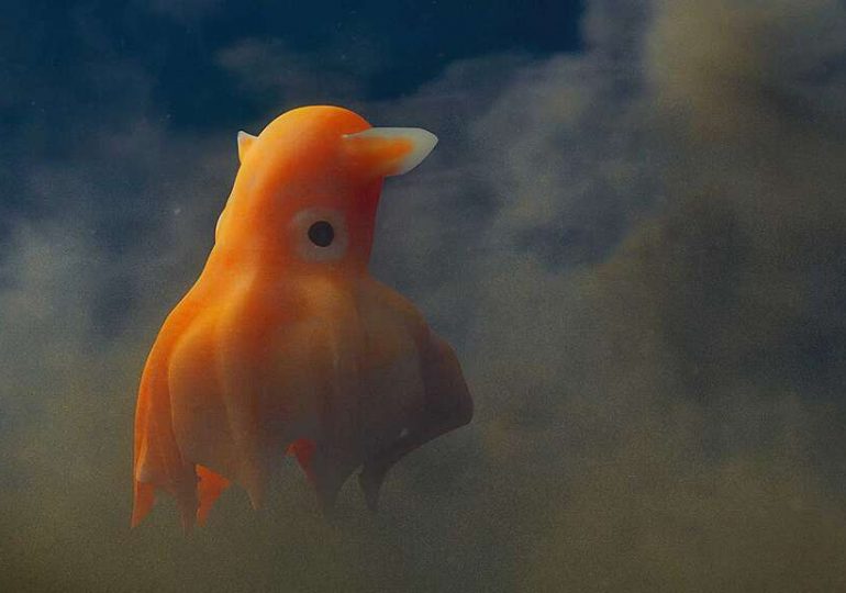 The Ocean We’re Still Discovering
