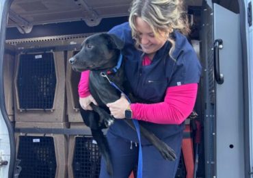 The Ontario SPCA prepares to welcome over 40 animals from Northern Ontario
