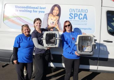 The Ontario SPCA rolls out Neuter Scooter in Dufferin County to reduce pet overpopulation