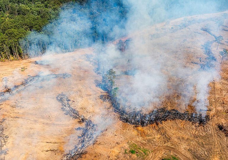 Australia’s Nature Laws Are Finally Up for Reform. But Will They Be Strong Enough to Protect What Matters?