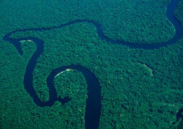 10 reasons why we need to act for the Amazon