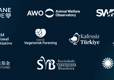 Announcing our 2025 Charity Recommendations