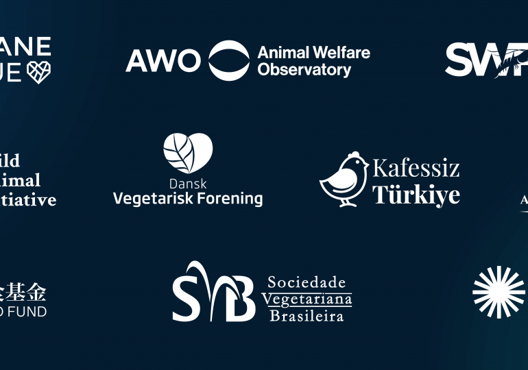 Announcing our 2025 Charity Recommendations