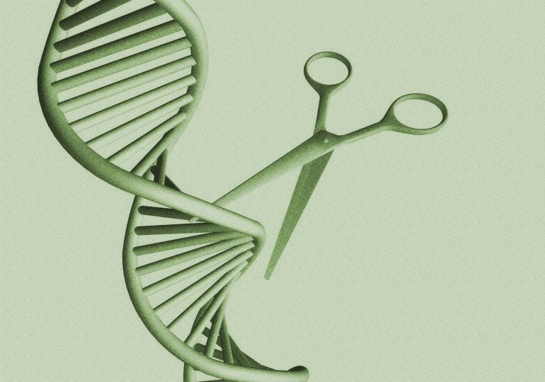 Can a One-Time Gene Therapy Lower Cholesterol?