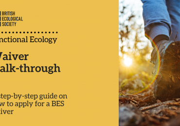 Waiver Walk-Through: How to apply for a BES waiver