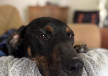 From a life of uncertainty to a future filled with affection