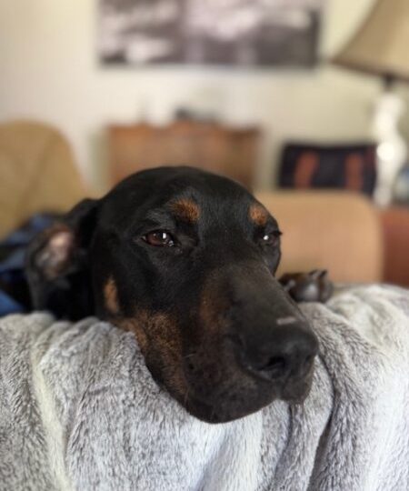 From a life of uncertainty to a future filled with affection