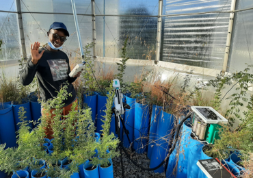 Edith Singini | How rising CO2 reshapes savannas: Why some trees thrive while others struggle