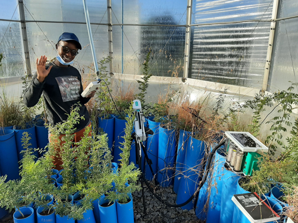 Edith Singini | How rising CO2 reshapes savannas: Why some trees thrive while others struggle