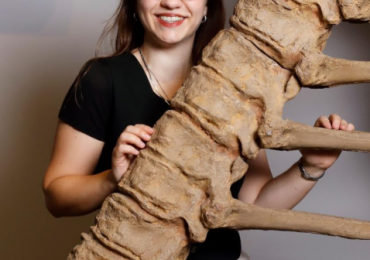 Dana Liebke | How spiders respond to changes in the agricultural landscape