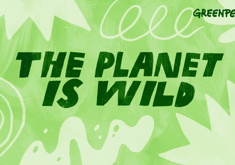 Greenpeace is back at Lost Paradise!