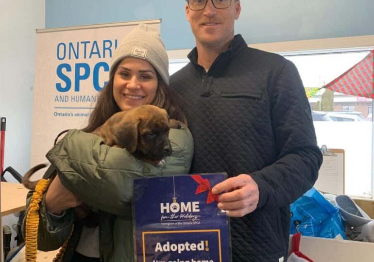 Home for the Holidays: A season of second chances