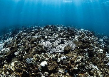 Gas is the problem, not the answer