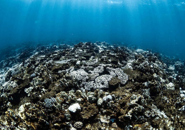 Gas is the problem, not the answer