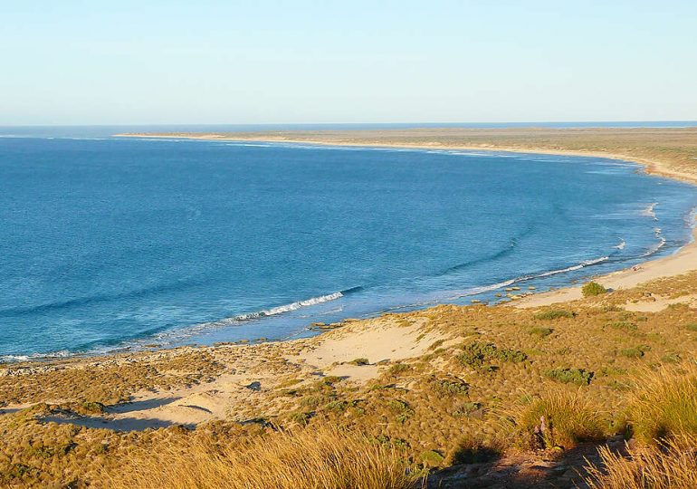 WA’s Demersal Fishing Ban Shows What Science Has Been Telling Us for Years.