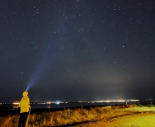 Shudong Zhang | Potential lasting effect of opportunistic parasitic fungi on coarse wood decomposition