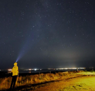 Shudong Zhang | Potential lasting effect of opportunistic parasitic fungi on coarse wood decomposition