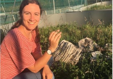 Chloé Chabaud | Can thirsty lizards still sense danger?