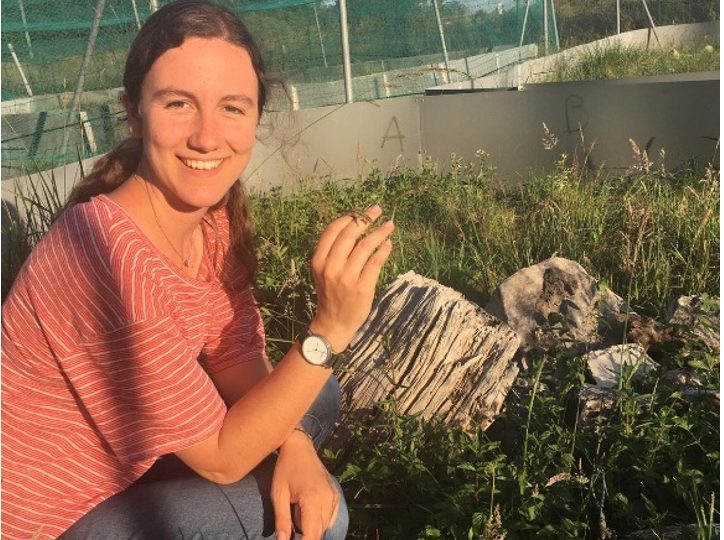 Chloé Chabaud | Can thirsty lizards still sense danger?