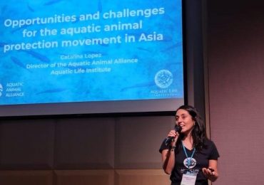 Recommended Charity Fund: February 2026 Update