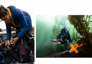 Haldane Prize 2025 | Carolina Olguín-Jacobson: Recovery mode: Marine protected areas enhance resilience of invertebrate species from marine heatwave