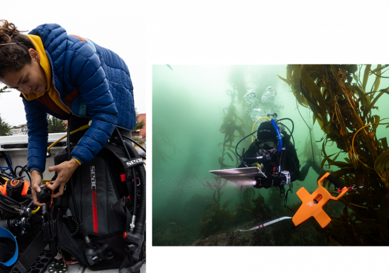 Haldane Prize 2025 | Carolina Olguín-Jacobson: Recovery mode: Marine protected areas enhance resilience of invertebrate species from marine heatwave