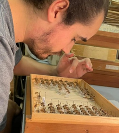 Manuel López-Aliste | Differential effects of agricultural expansion on wild bee taxonomic and functional diversity