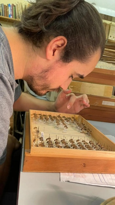 Manuel López-Aliste | Differential effects of agricultural expansion on wild bee taxonomic and functional diversity