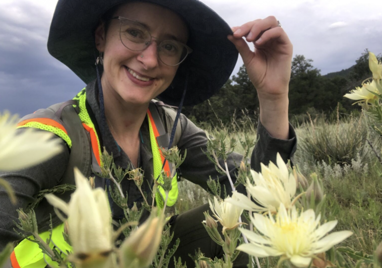 Rosemary Glos | Trapped, Poked, and Poisoned: Evidence for Defence Synergisms in a Desert Plant