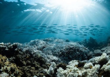 Global Ocean Treaty: Australia Ratifies