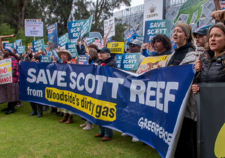 Don’t be so reckless: Hands of Scott Reef