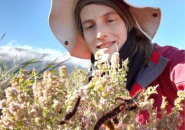 Anina Coetzee | Colourful defenses against bees